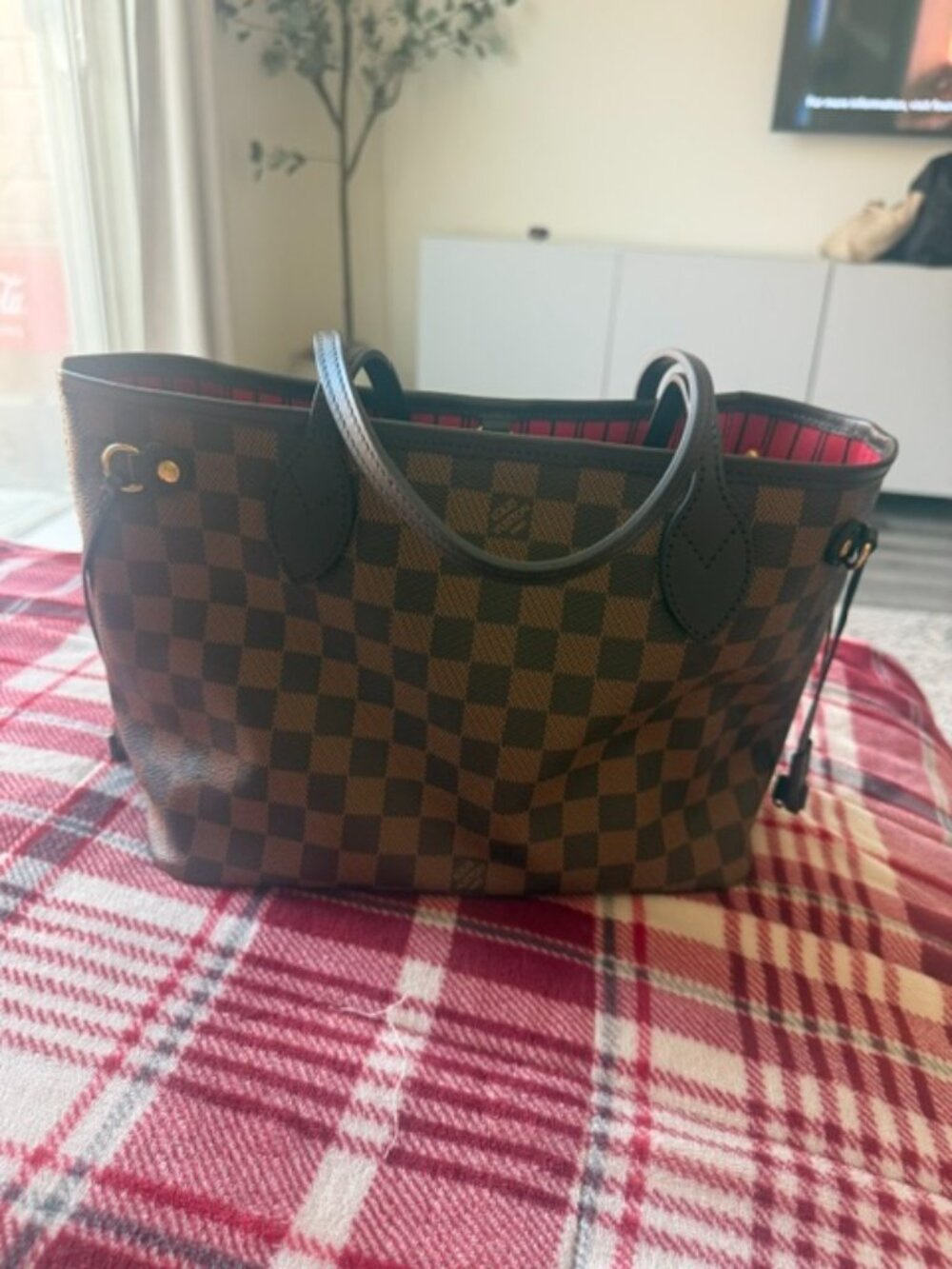 Louis Vuitton Neverfull PM